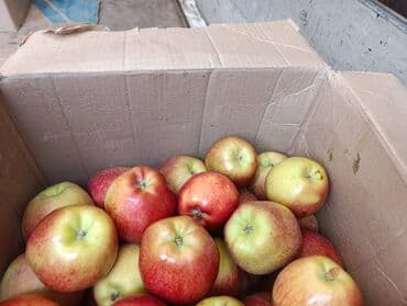 Яблоки at lalafo.kg Яблоки