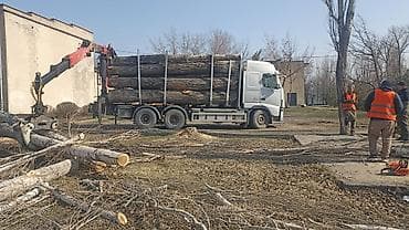 Услуги по валке, обрезке и вывозу деревьев с применением лесовоза с at lalafo.kg Услуги по валке, обрезке и вывозу деревьев с применением лесовоза с