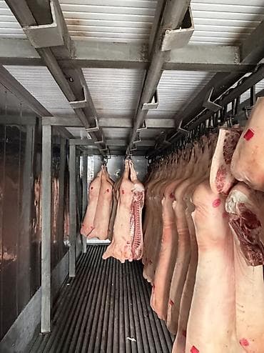 Свинина at lalafo.kg Свинина