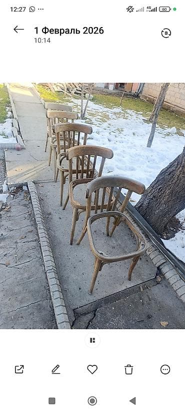 Стул для кафе, ресторанов, Дерево, цвет - Коричневый at lalafo.kg Стул для кафе, ресторанов, Дерево, цвет - Коричневый