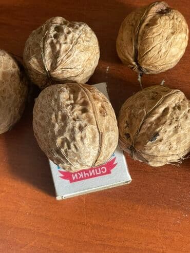 Срочно продаю Грецкий орех в скорлупе, крупный.осталось 5 мешков - На at lalafo.kg Срочно продаю Грецкий орех в скорлупе, крупный.осталось 5 мешков - На