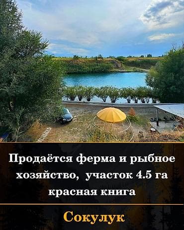 Рыбное хозяйство, 400 соток, Действующий, С оборудованием, Электричество, Скважина, Холодная вода at lalafo.kg Рыбное хозяйство, 400 соток, Действующий, С оборудованием, Электричество, Скважина, Холодная вода