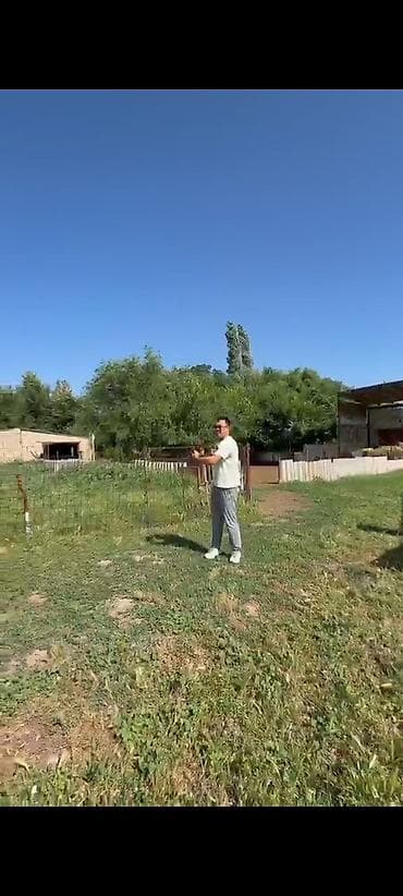 А селе Чалдыбар продаётся большой участок 20 соток с хоз пристройками at lalafo.kg А селе Чалдыбар продаётся большой участок 20 соток с хоз пристройками