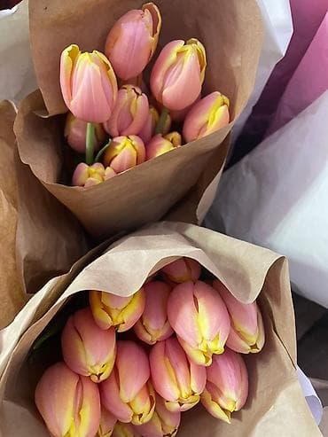 Бонбоньерки: Тюльпаны в крафт-упаковке - Срезанные тюльпаны с плотным бутоном at lalafo.kg — 6 Бонбоньерки: Тюльпаны в крафт-упаковке - Срезанные тюльпаны с плотным бутоном — 6