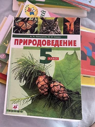 Комплект школьных учебников для 5 класса. В составе: - lalafo.kg да — 1 Комплект школьных учебников для 5 класса. В составе: - — 1