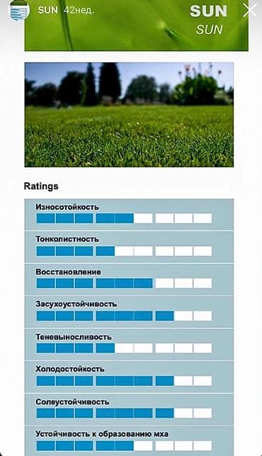 Семена европейского газона DLF (Дания) по оптовым ценам! ✅В наличии at lalafo.kg — 9 Семена европейского газона DLF (Дания) по оптовым ценам! ✅В наличии — 9
