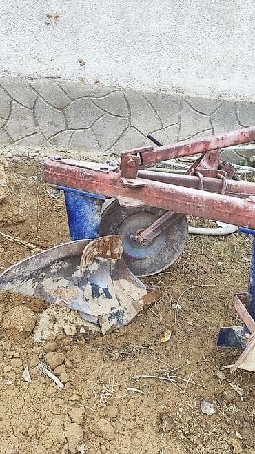 Чизелдик соколор: Соко сатылат жети огуздо lalafo.kg да — 2 Чизелдик соколор: Соко сатылат жети огуздо — 2