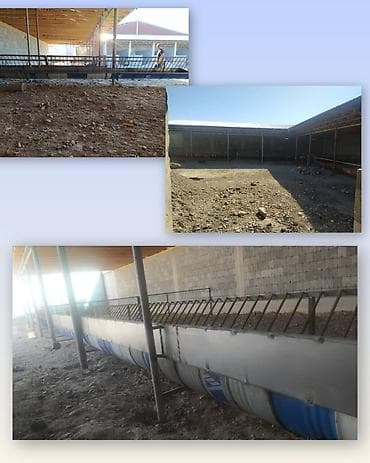 Бригада. Работаем как с мелкими бытовыми заказами, так и с крупными at lalafo.kg Бригада. Работаем как с мелкими бытовыми заказами, так и с крупными