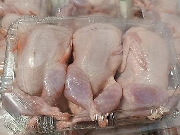 Перепела . Перепелиные тушки вес 350 грамм мясистые перепёлки. Мы lalafo.kg да Перепела . Перепелиные тушки вес 350 грамм мясистые перепёлки. Мы