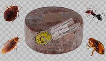 ПРОДАЮТСЯ ДЫМОВЫЕ ШАШКИ ДЛЯ ТРАВЛИ at lalafo.kg ПРОДАЮТСЯ ДЫМОВЫЕ ШАШКИ ДЛЯ ТРАВЛИ