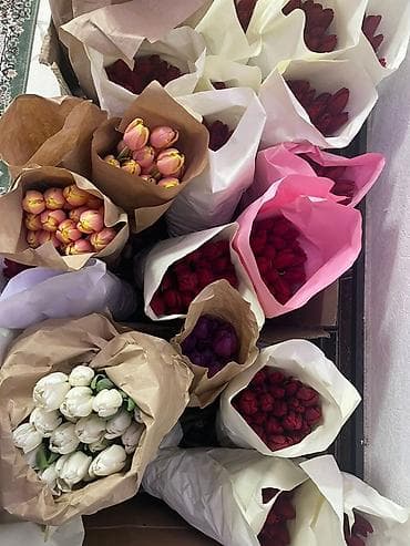 LED гирляндалар: Тюльпан гулдору оптом 95сом штук Штучно 130 сом. Оптом от 150шт - lalafo.kg да — 1 LED гирляндалар: Тюльпан гулдору оптом 95сом штук Штучно 130 сом. Оптом от 150шт - — 1