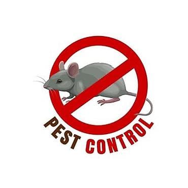 Дезинфекция, дезинсекция, | Мыши и крысы, | Квартиры at lalafo.kg — 3 Дезинфекция, дезинсекция, | Мыши и крысы, | Квартиры — 3