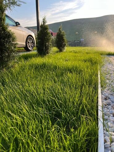 ✔️Сеем газон ✔️ Посев газона ✔️ Озеленение территории ✔️Газон ✔️ at lalafo.kg ✔️Сеем газон ✔️ Посев газона ✔️ Озеленение территории ✔️Газон ✔️