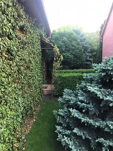 Продажа дач: Продаётся уютный 2-этажный дом мансардного типа в тихом и зелёном at lalafo.kg — 5 Продажа дач: Продаётся уютный 2-этажный дом мансардного типа в тихом и зелёном — 5