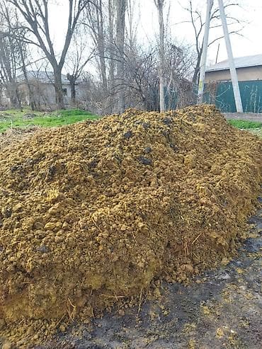 Гамактар: Навоз (органическое удобрение) навоз Бесплатно кому нужно заберите - lalafo.kg да — 1 Гамактар: Навоз (органическое удобрение) навоз Бесплатно кому нужно заберите - — 1