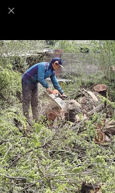 GMC: Спил деревьев любой сложности. Промышленный альпинизм и верхолазные lalafo.kg да — 4 GMC: Спил деревьев любой сложности. Промышленный альпинизм и верхолазные — 4
