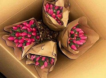 Бонбоньерки: Тюльпаны оптом свежие! Количество ограничено. Доставка и самовывоз at lalafo.kg — 5 Бонбоньерки: Тюльпаны оптом свежие! Количество ограничено. Доставка и самовывоз — 5