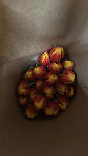 Тюльпаны ОПТОМ! и в розницу вместе с луковицами рост 75см бокал 5-6см lalafo.kg да — 7 Тюльпаны ОПТОМ! и в розницу вместе с луковицами рост 75см бокал 5-6см — 7