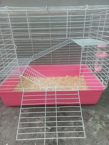 Деңиз чочколору: Большая клетка, с высоким поддоном толстыми прутьями. подойдёт для lalafo.kg да — 1 Деңиз чочколору: Большая клетка, с высоким поддоном толстыми прутьями. подойдёт для — 1