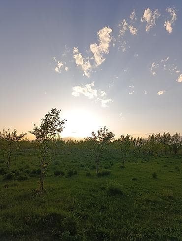 4 соток, Для сельского хозяйства, Красная книга at lalafo.kg 4 соток, Для сельского хозяйства, Красная книга