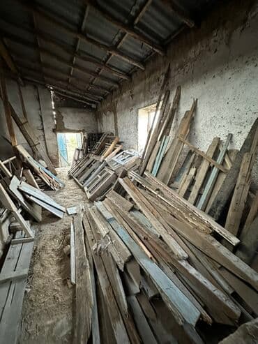 Хвоя at lalafo.kg Хвоя