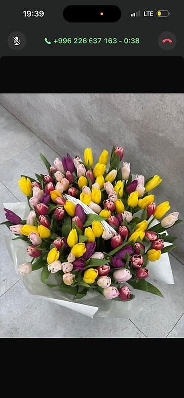 Тюльпаны в розницу цена 75 сом - Яркая композиция из свежих тюльпанов at lalafo.kg Тюльпаны в розницу цена 75 сом - Яркая композиция из свежих тюльпанов