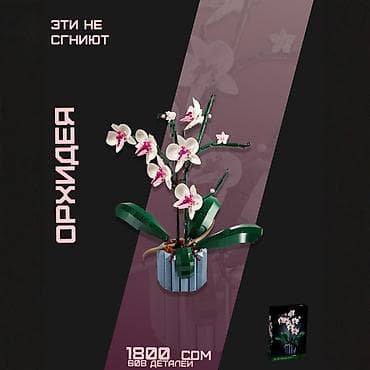 Конструктор Букет Орхидея 608 деталей ♦️ 608 деталей — каждая деталь at lalafo.kg Конструктор Букет Орхидея 608 деталей ♦️ 608 деталей — каждая деталь