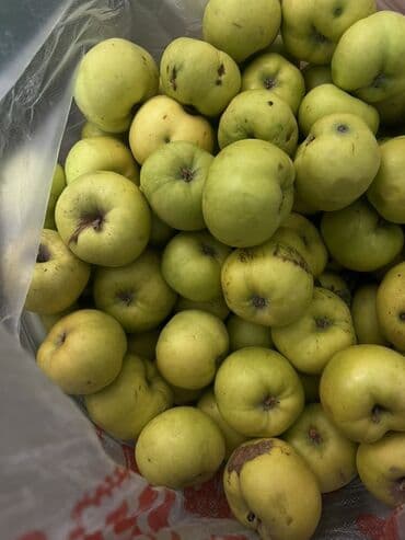 Яблоки at lalafo.kg Яблоки