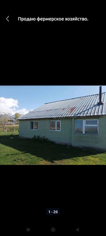 Продаю фермерское хозяйство. Кошара(бывшая МТФ),пруд,новый заложеный at lalafo.kg Продаю фермерское хозяйство. Кошара(бывшая МТФ),пруд,новый заложеный