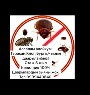 Дезинфекция, дезинсекция, | Блохи, Клопы, Тараканы, | Кафе, магазины, Дома, Квартиры at lalafo.kg Дезинфекция, дезинсекция, | Блохи, Клопы, Тараканы, | Кафе, магазины, Дома, Квартиры