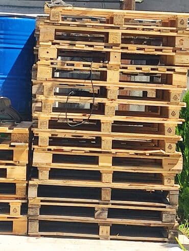 Поддон Для строительных материалов, Б/у, В наличии at lalafo.kg Поддон Для строительных материалов, Б/у, В наличии