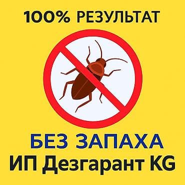 Дезинфекция, дезинсекция, | Клопы, Блохи, Тараканы, | Транспорт, Офисы, Квартиры at lalafo.kg — 1 Дезинфекция, дезинсекция, | Клопы, Блохи, Тараканы, | Транспорт, Офисы, Квартиры — 1