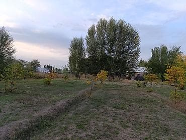 Линолеум: 6 соток, Курулуш, Кызыл китеп, Сатып алуу-сатуу келишими lalafo.kg да — 10 Линолеум: 6 соток, Курулуш, Кызыл китеп, Сатып алуу-сатуу келишими — 10