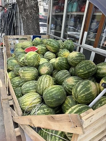 Арбузы В розницу at lalafo.kg Арбузы В розницу