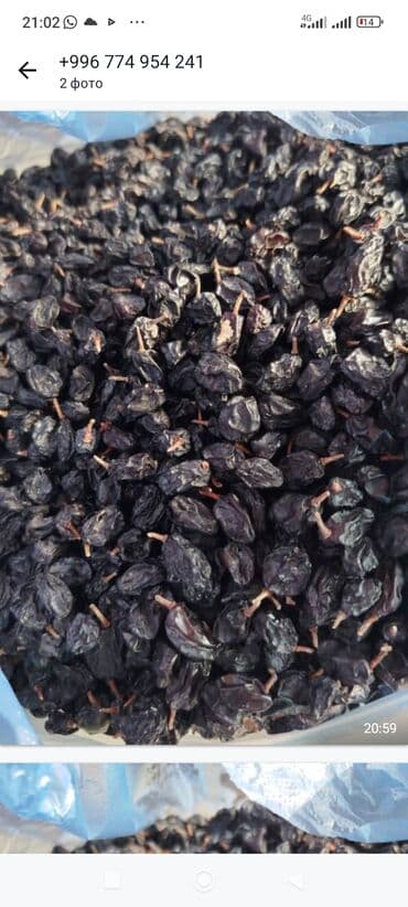 Изюм темный на веточке (сушеный виноград) - Натуральный, без at lalafo.kg Изюм темный на веточке (сушеный виноград) - Натуральный, без