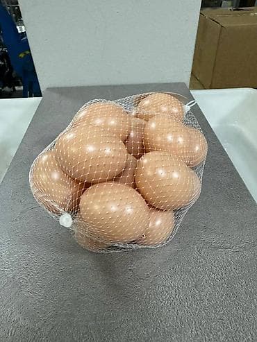 Новое поступление будет в конце месяца. Подкладное куриное яйцо at lalafo.kg Новое поступление будет в конце месяца. Подкладное куриное яйцо