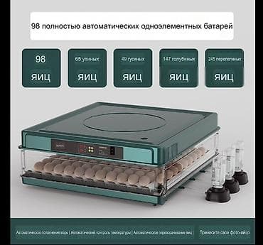Сроооочно инкубатор для яиц с полной автоматикой Вместимость: - 98 at lalafo.kg Сроооочно инкубатор для яиц с полной автоматикой Вместимость: - 98