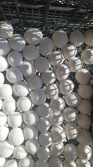 Натуральный без никаких добавок at lalafo.kg Натуральный без никаких добавок