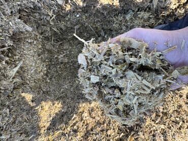 Кукурузный силос
Мелко дробленая с кукурузой
Оптом дешевле
Кант at lalafo.kg Кукурузный силос
Мелко дробленая с кукурузой
Оптом дешевле
Кант