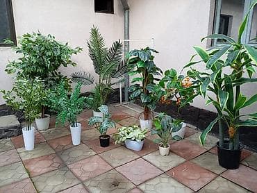 Декоративные искусственные растения в кашпо
горшки в комплекте at lalafo.kg Декоративные искусственные растения в кашпо
горшки в комплекте