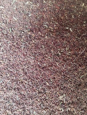 Гречневая шелуха (лузга) - Натуральная оболочка зерен гречки at lalafo.kg Гречневая шелуха (лузга) - Натуральная оболочка зерен гречки