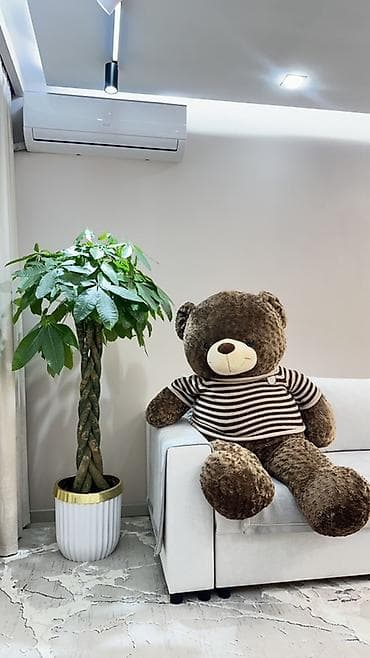 Большой плюшевый мишка Рост 160см - Цвет: тёмно-коричневый, мордочка at lalafo.kg Большой плюшевый мишка Рост 160см - Цвет: тёмно-коричневый, мордочка