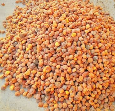 Город Кара Балта
1кг-60сом
Урюк на компот
20кг свой огород at lalafo.kg Город Кара Балта
1кг-60сом
Урюк на компот
20кг свой огород