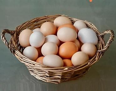 Куриные яйца в ассортименте цветов (белые, кремовые, бежевые at lalafo.kg Куриные яйца в ассортименте цветов (белые, кремовые, бежевые