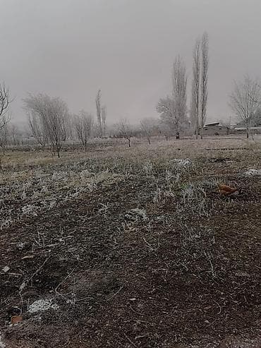 17 соток, Для строительства at lalafo.kg 17 соток, Для строительства