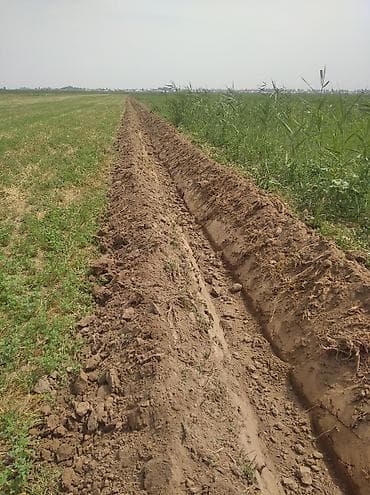 Башка айыл чарба техникасы: Арычник новый на любой трактор.!!! lalafo.kg да — 5 Башка айыл чарба техникасы: Арычник новый на любой трактор.!!! — 5