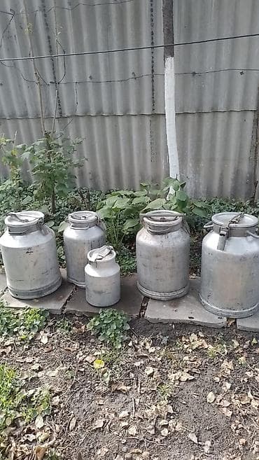 Канистр lalafo.kg да — 1 Канистр — 1