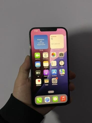 IPhone 12 Pro Max, 128 ГБ, Pacific Blue, 79 % at lalafo.kg IPhone 12 Pro Max, 128 ГБ, Pacific Blue, 79 %