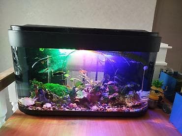 Продаю заводской аквариум с крышкой на 120 литров как на фото в at lalafo.kg Продаю заводской аквариум с крышкой на 120 литров как на фото в