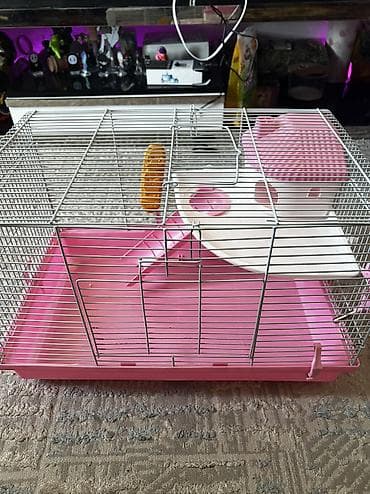 Продаю клетку для хомяка в комплекте с шаром прогулочный, поилка at lalafo.kg Продаю клетку для хомяка в комплекте с шаром прогулочный, поилка